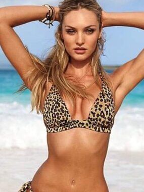 Victoria's Secret | Cheetah Print Front Tie Triangle Bikini Top | Size Large